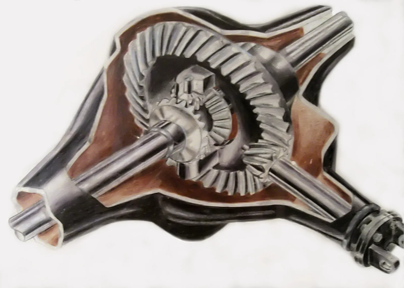 Rear-axle differential cutaway showing a ring gear and internal bevel gears