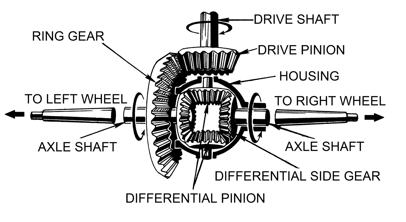 Labeled differential drawing with drive pinion, ring gear, side gears and left and right axle shafts