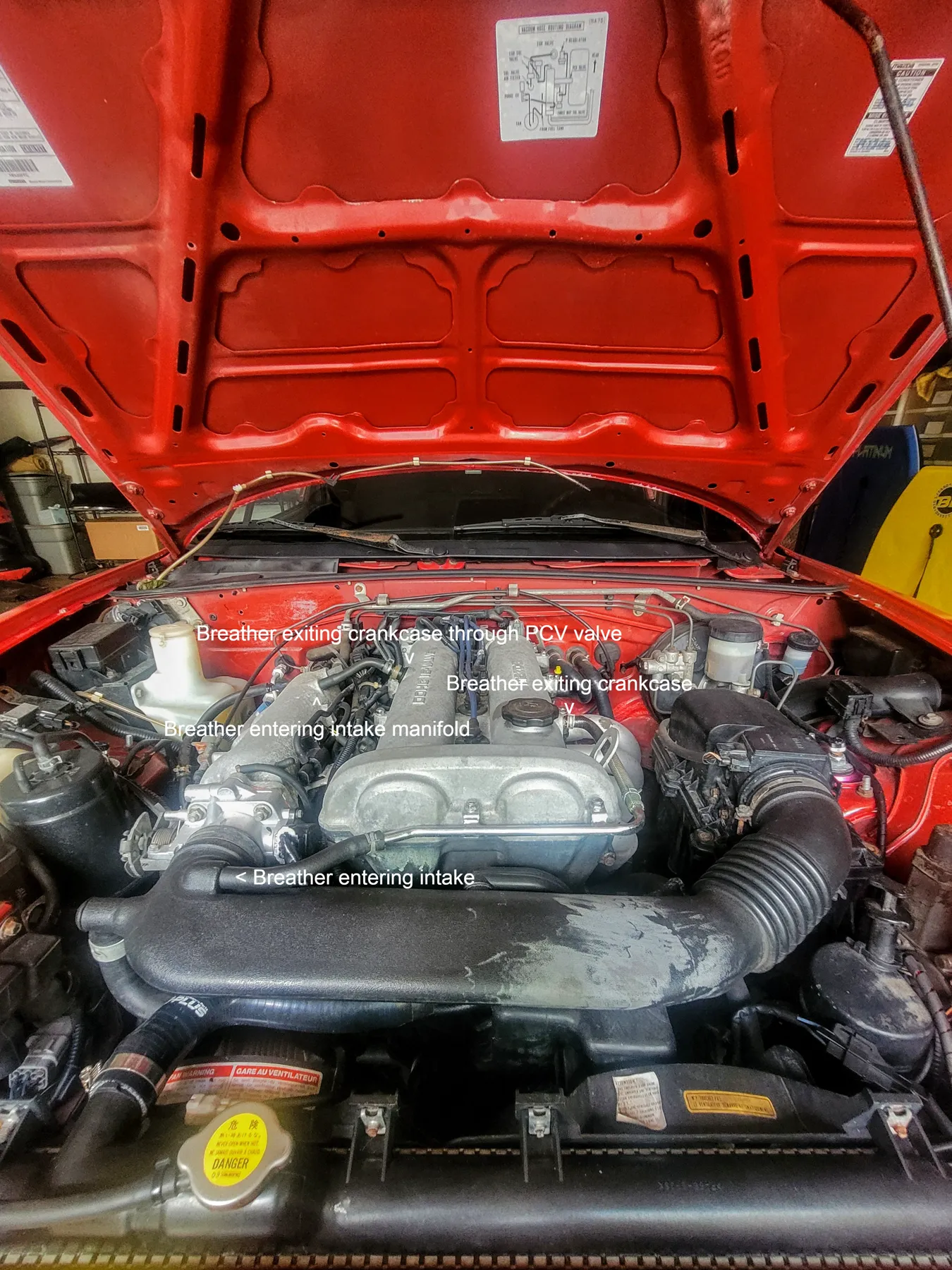 Engine bay illustrating a crankcase-ventilation hose arrangement near the valve cover