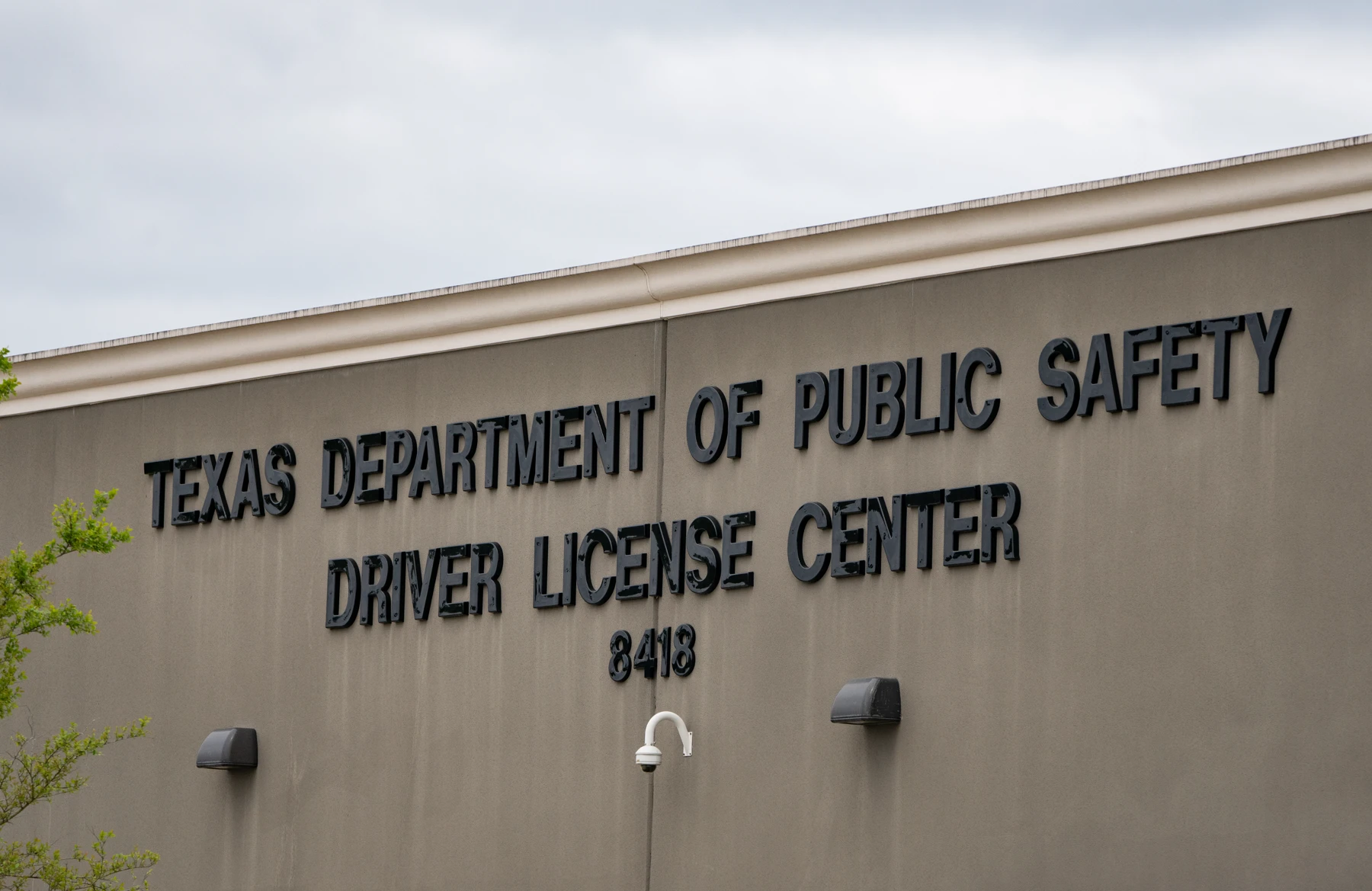 Close crop of a plain tan-gray concrete wall under an overcast sky, with raised black letters reading Texas Department of Public Safety, Driver License Center, and 8418, two wall lamps, a small security camera, and a leafy branch at the left edge